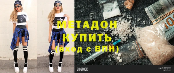 прущие грибы Абаза