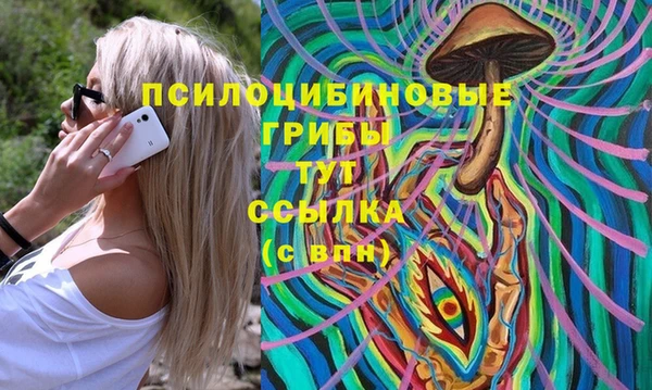 прущие грибы Абаза