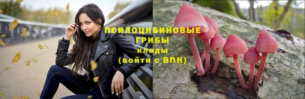 Альфа ПВП Краснослободск